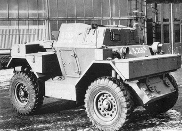 lynx.jpg